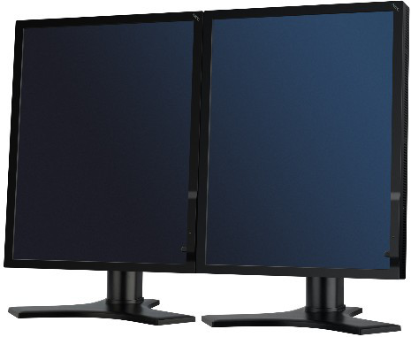 NEC MD212MC 21.3" LCD Display – image 3