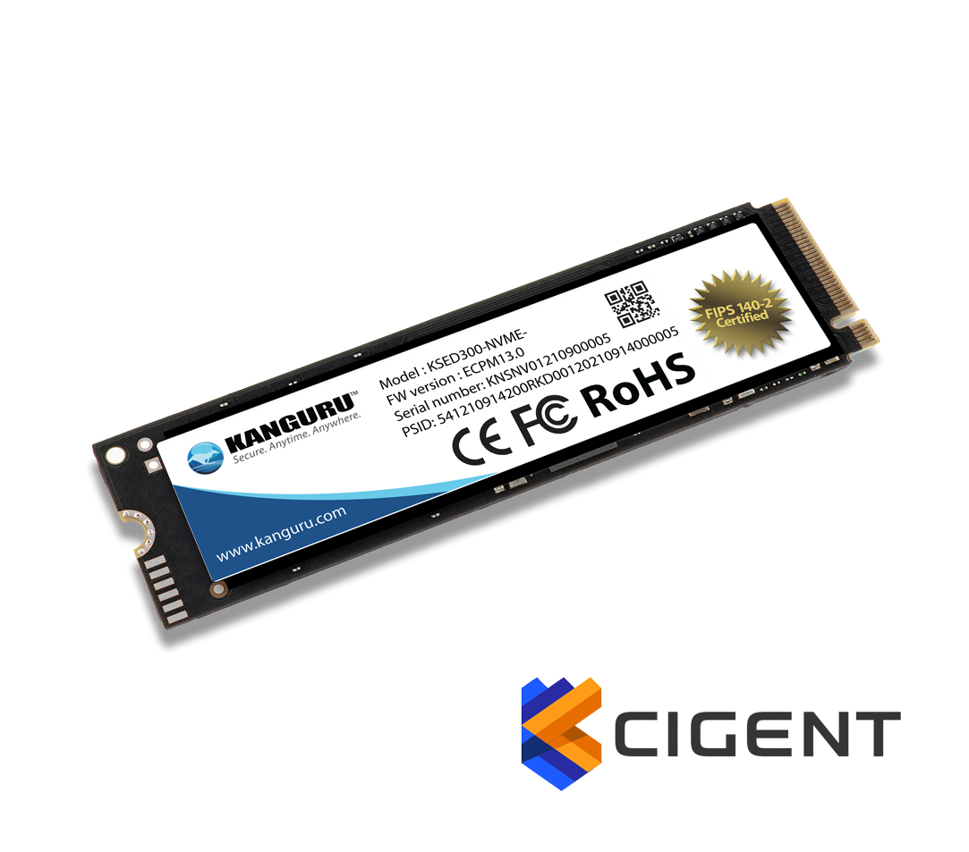 iStorage Kanguru Defender SED300 Hardware-Based Self-Encrypting Internal SSD 1 TB|FIPS 140-2 Certified | M.2 2280 Internal | PCI Express NVMe (PCI Express NVMe 4.0 x4) | TAA Compliant image 3