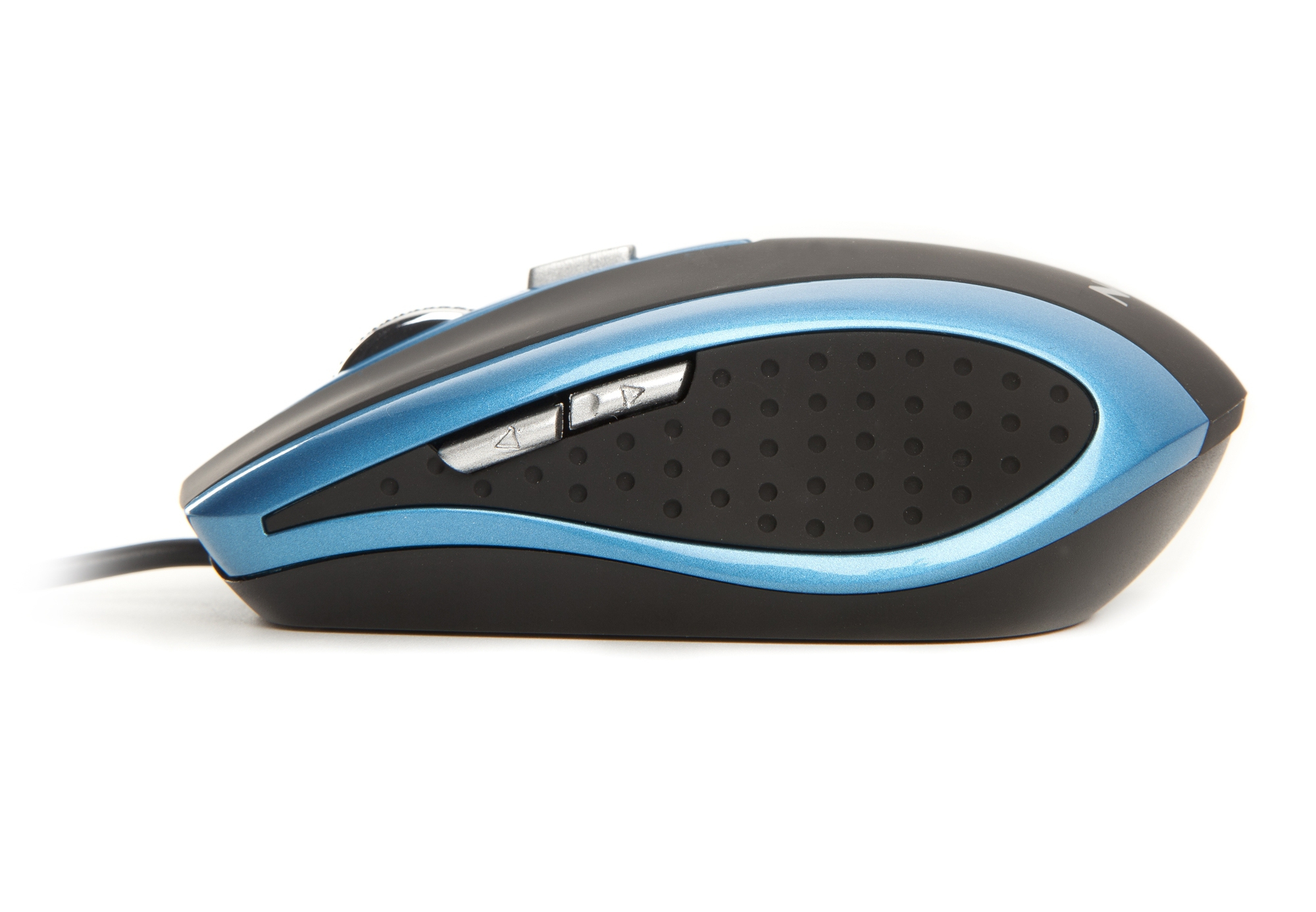 NGS Blue tick – image 3