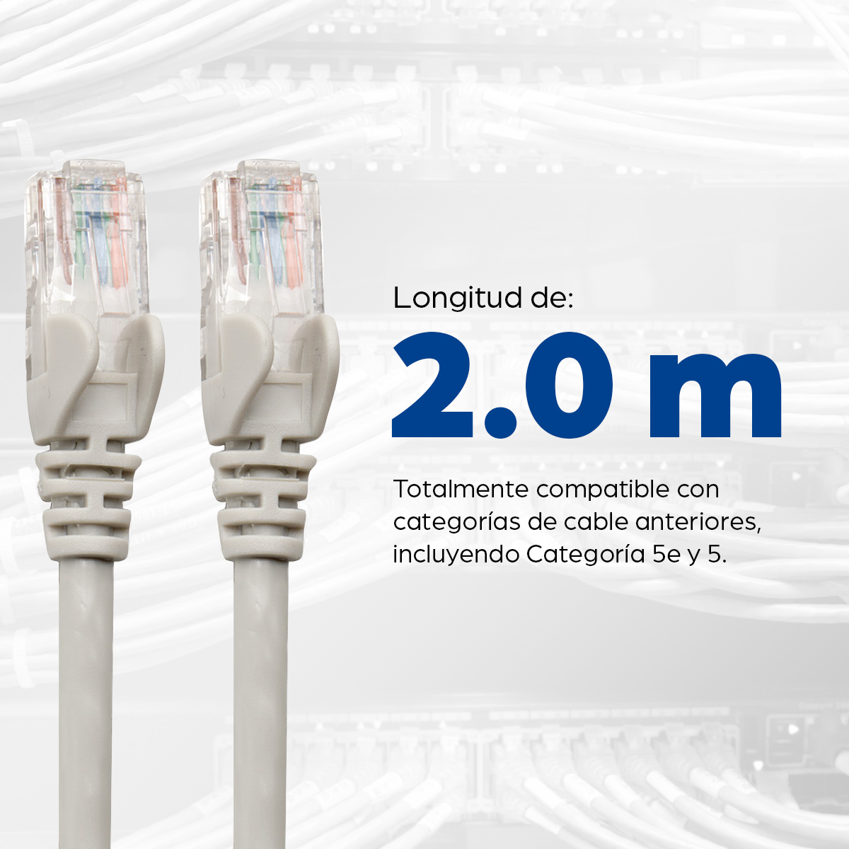 Cable Ethernet Cat6 2m Intellinet 334112