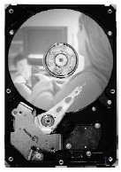 Seagate DB35 7200.3 80GB Ultra ATA/100 20pk