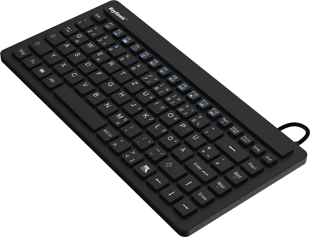 KeySonic KSK-3230IN (US) keyboard Industrial USB QWERTY US English Black