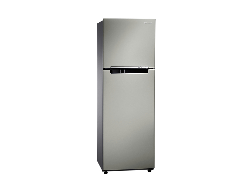 Samsung RT25FARBDSP Freestanding Platinum – image 4