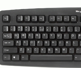 Targus Desktop PS/2 Keyboard – image 2