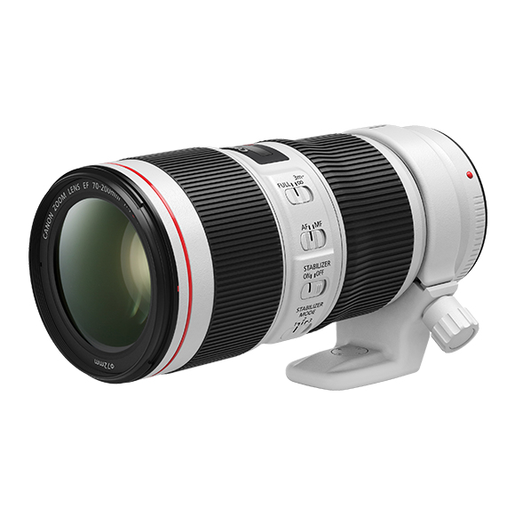 Canon EF 70–200mm f/4L IS II USM SLR Telephoto zoom lens Black, White