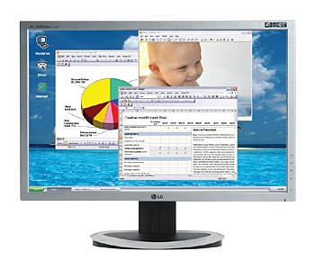 LG 19" LCD Monitor