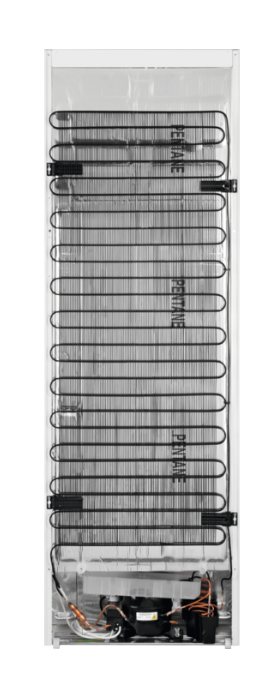 AEG Series 6000 RKE539E1DW fridge Freestanding – image 5