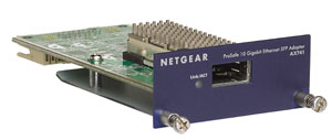 NETGEAR ProSafe™ 10 Gigabit Ethernet XFP Adapter Module – image 1