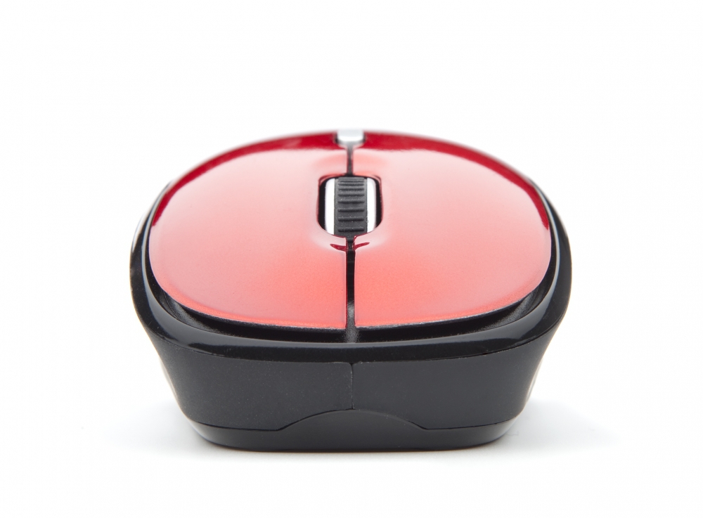 NGS Roly Red – image 5