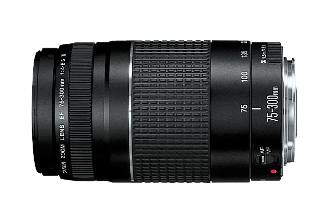 Canon Rebel T5 + EF-S 18-55mm IS + EF 75-300mm Ultimate Kit