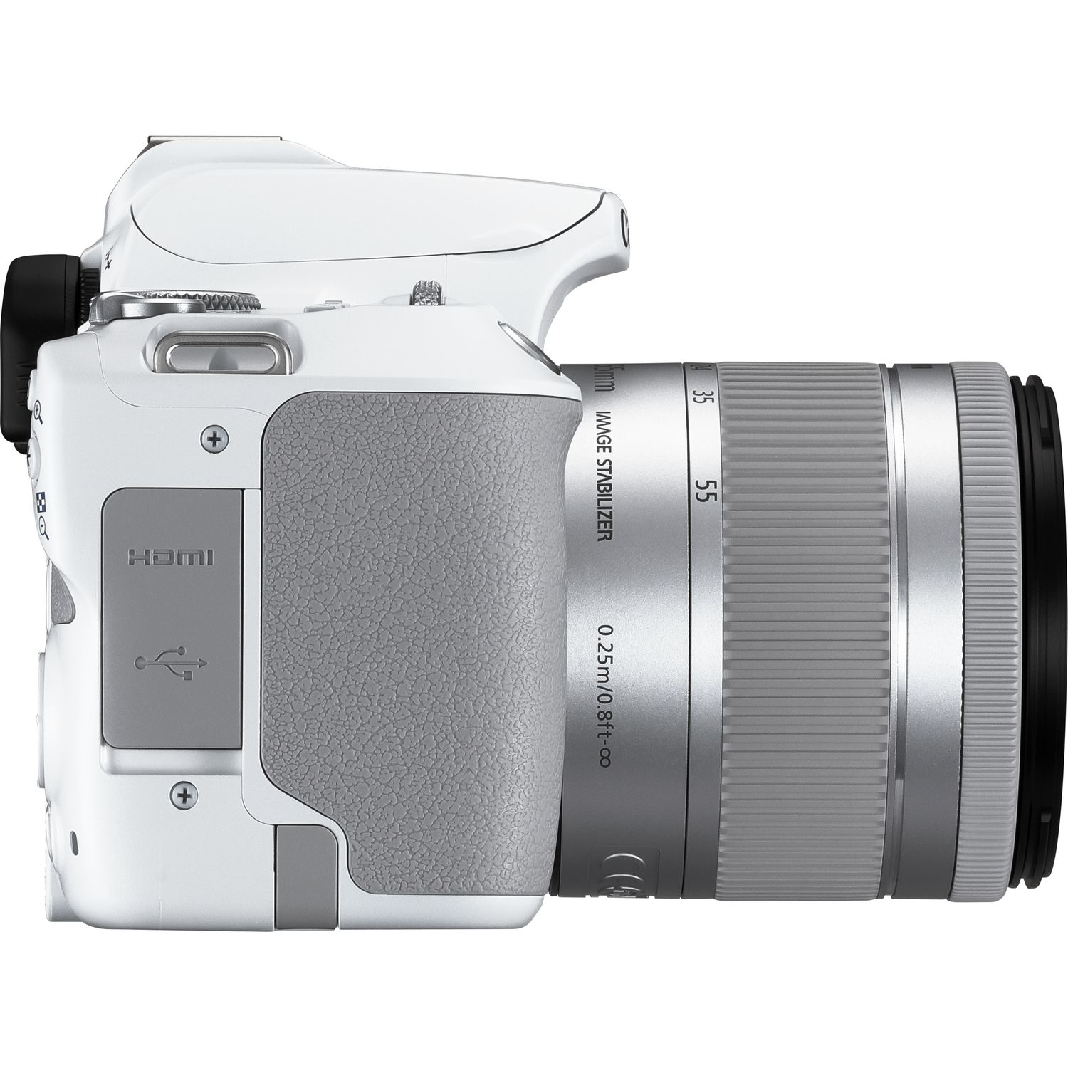 Canon 250D + EF-S 18-55mm f/4-5.6 IS STM – image 7