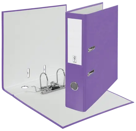 Esselte ECO FSC Carton, Papier Violet A4