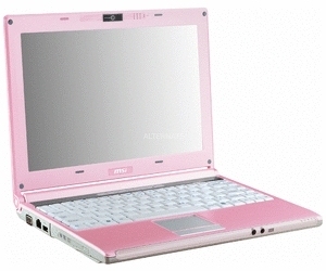 MSI MegaBook VR220YA Pink