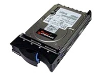 CoreParts SA73005I249 internal hard drive