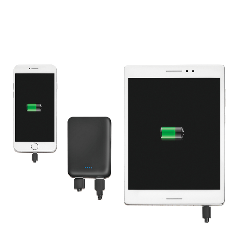 LogiLink PA0202 power bank Lithium Polymer (LiPo) – image 6