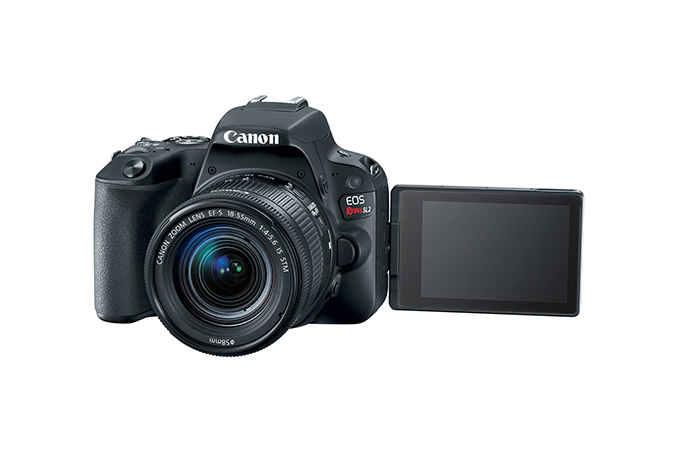 Canon Rebel SL2 + EF-S 18-55mm f/4-5.6 – image 3
