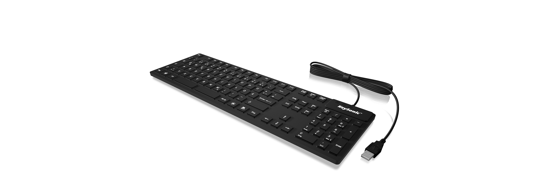 ICY BOX KSK-8030IN keyboard Industrial USB QWERTY UK English Black – image 2