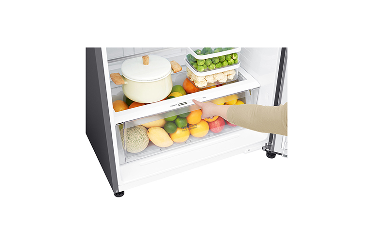 LG GTB574SEHZD fridge-freezer Freestanding – image 4