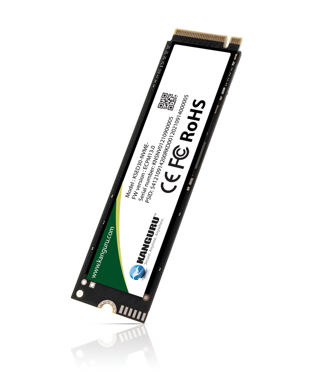 iStorage Kanguru Defender SED30™ M.2 NVMe – image 2