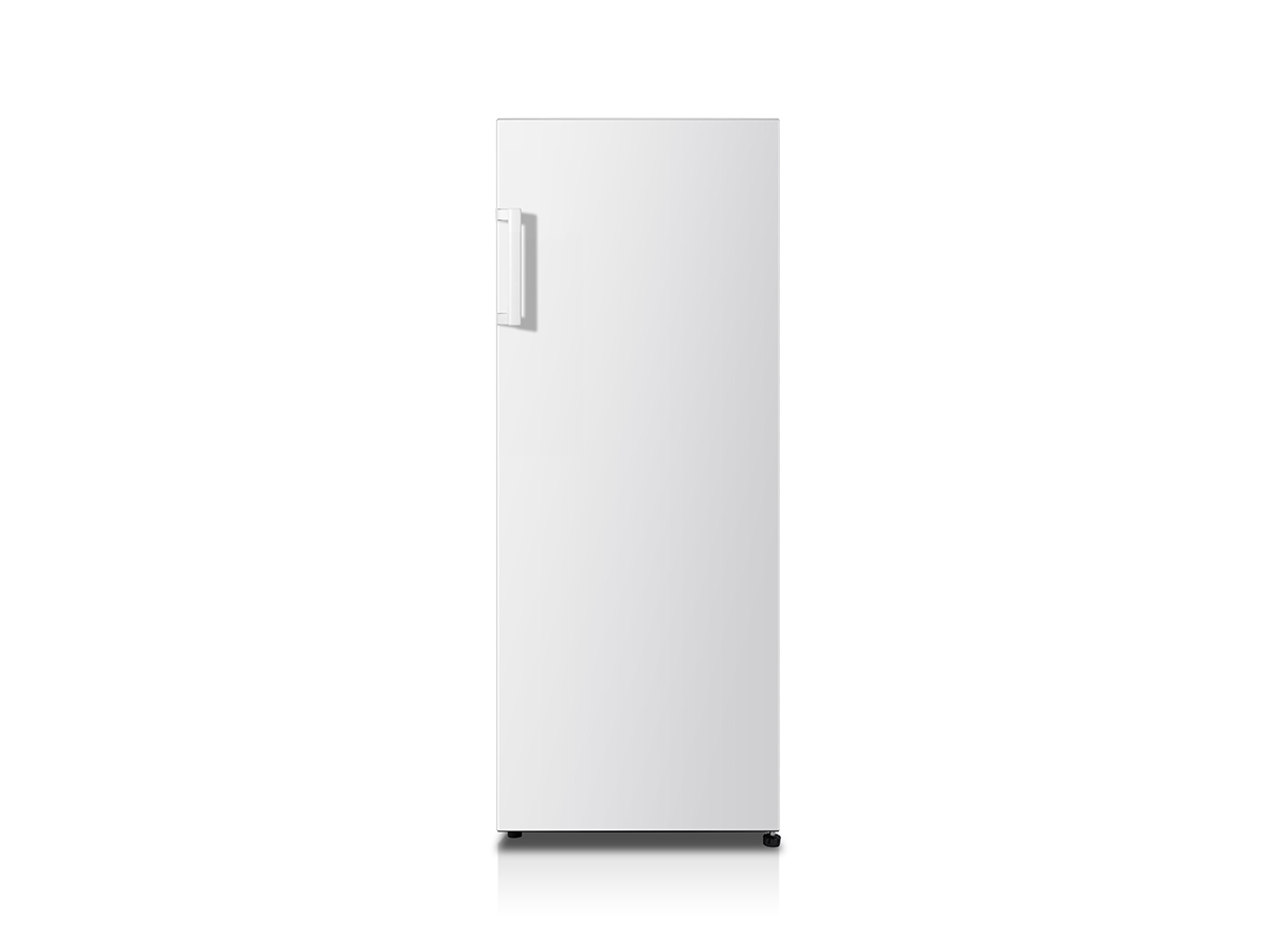 Hisense RL313D4AW1 fridge Freestanding