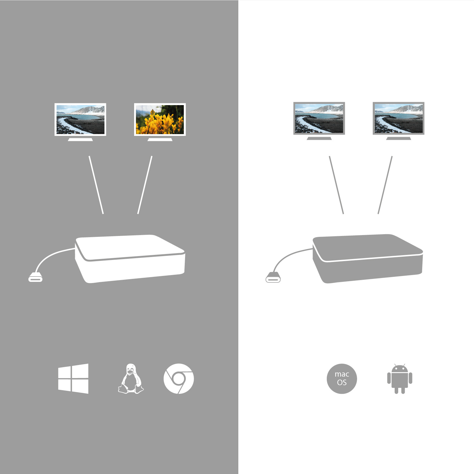 Product Gallery