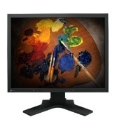 EIZO 21" LCD Monitor