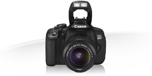 Canon 650D + 18-135mm IS STM – image 6