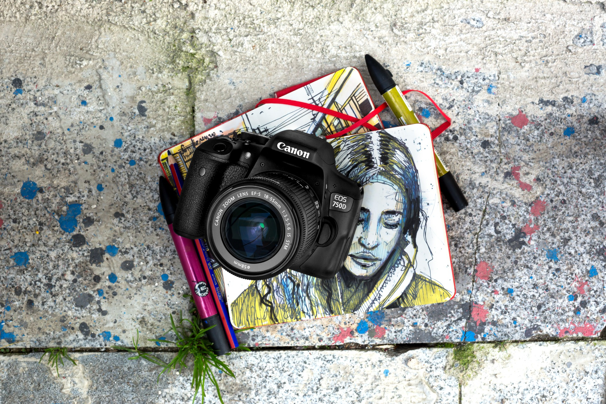 Canon 750D + CS100 – image 4