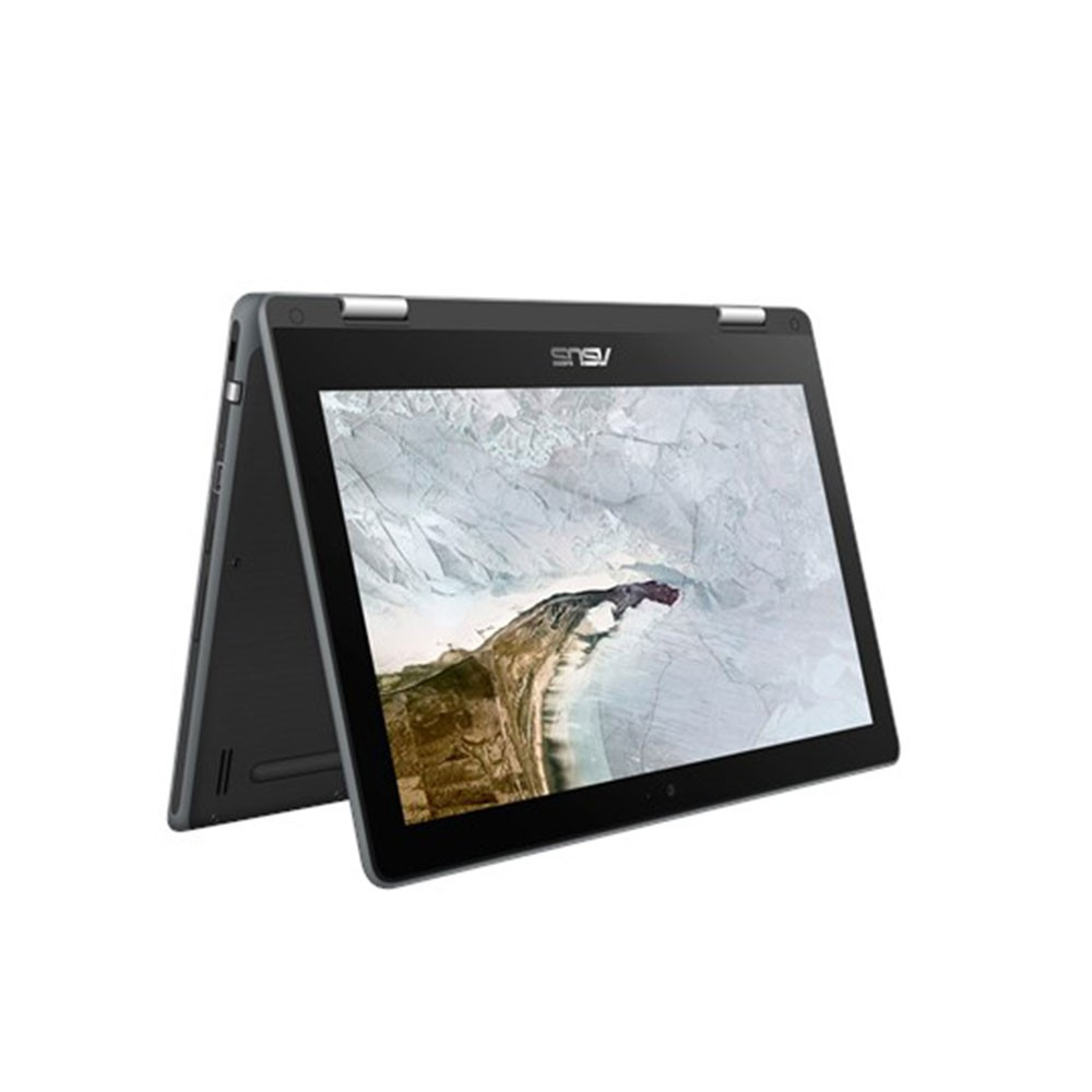 ASUS Chromebook Flip C214MA-BU0091-3Y laptop Intel® Celeron® N4000
