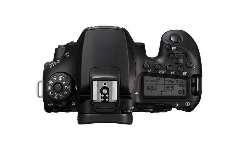 Canon 90D + EF-S 18-55mm f/3.5-5.6 IS STM – image 3