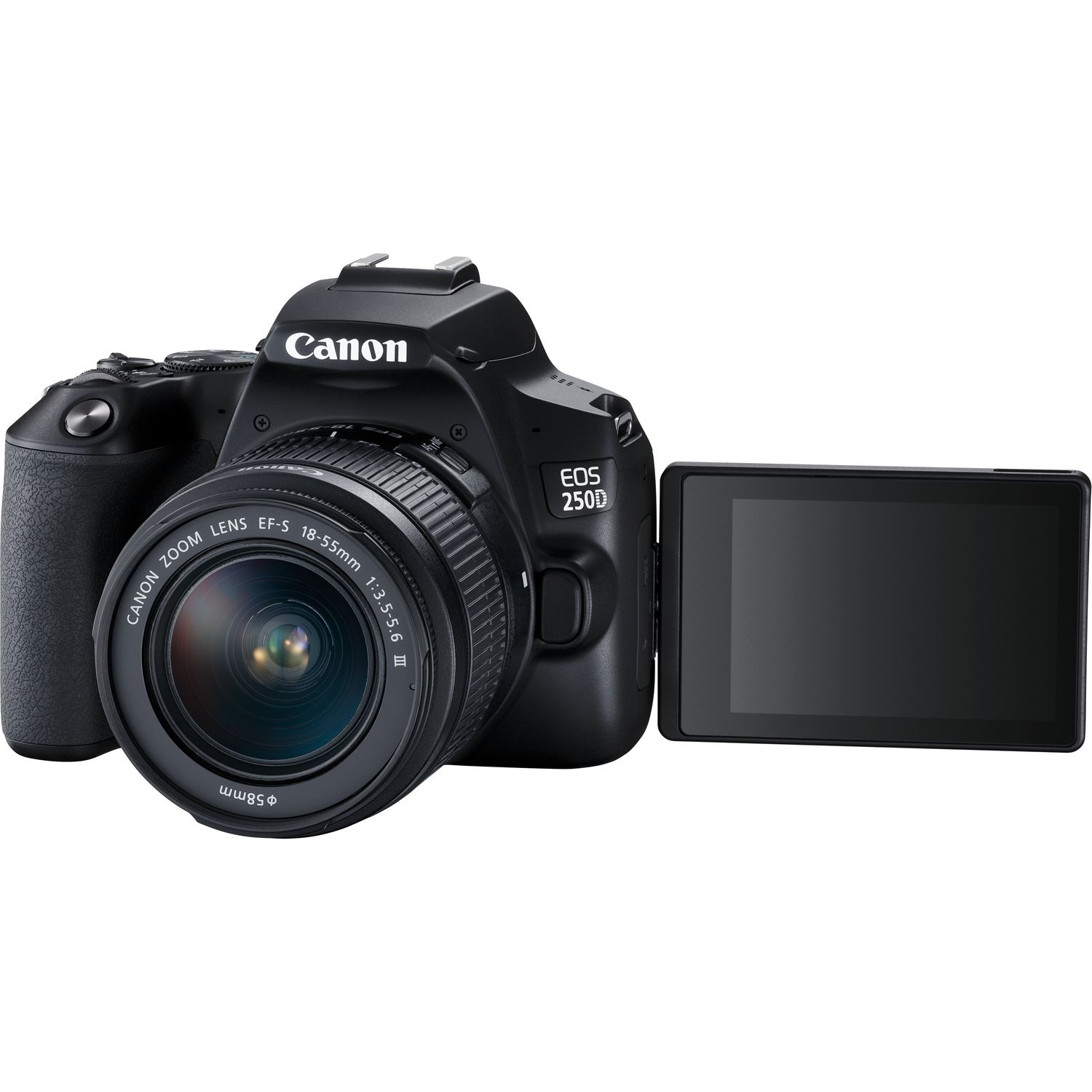 Canon 250D + EF-S 18-55mm f/3.5-5.6 III + SB130 – image 5