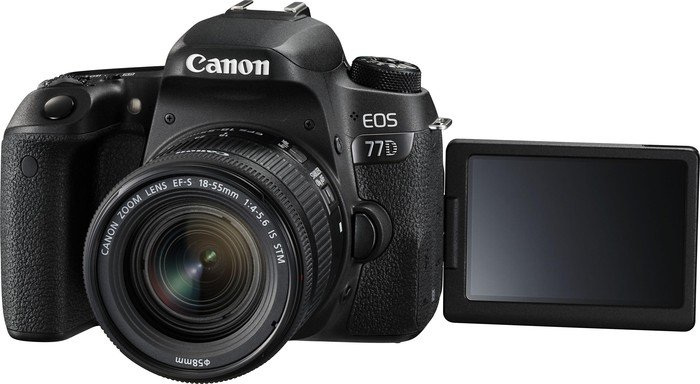 Canon 77D + 18-55mm F4.0-5.6 IS STM + EF-S 55-250mm F4-5.6 IS STM – image 4