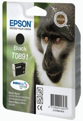 Epson T0891 Black DURABrite Ink Cartridge – image 2