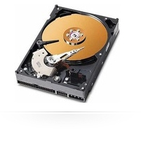 CoreParts 30GB 3.5" IDE