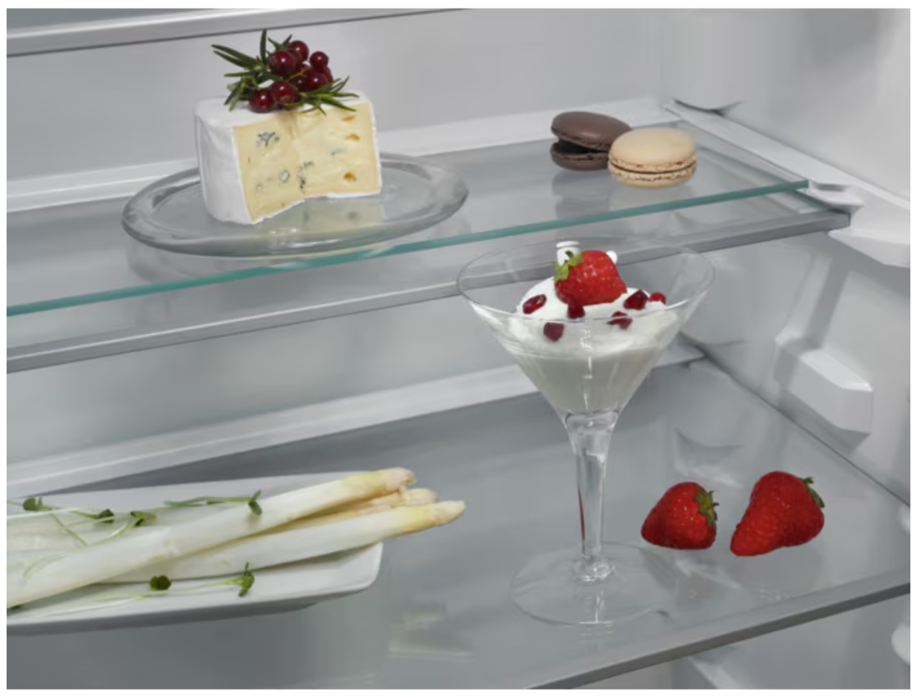 AEG TK6DS181DC fridge Built-in – image 4