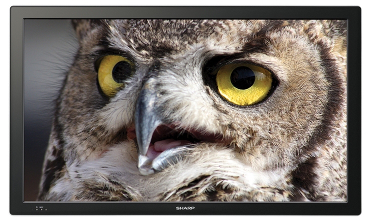 Sharp PN-T321 computer monitor – image 1