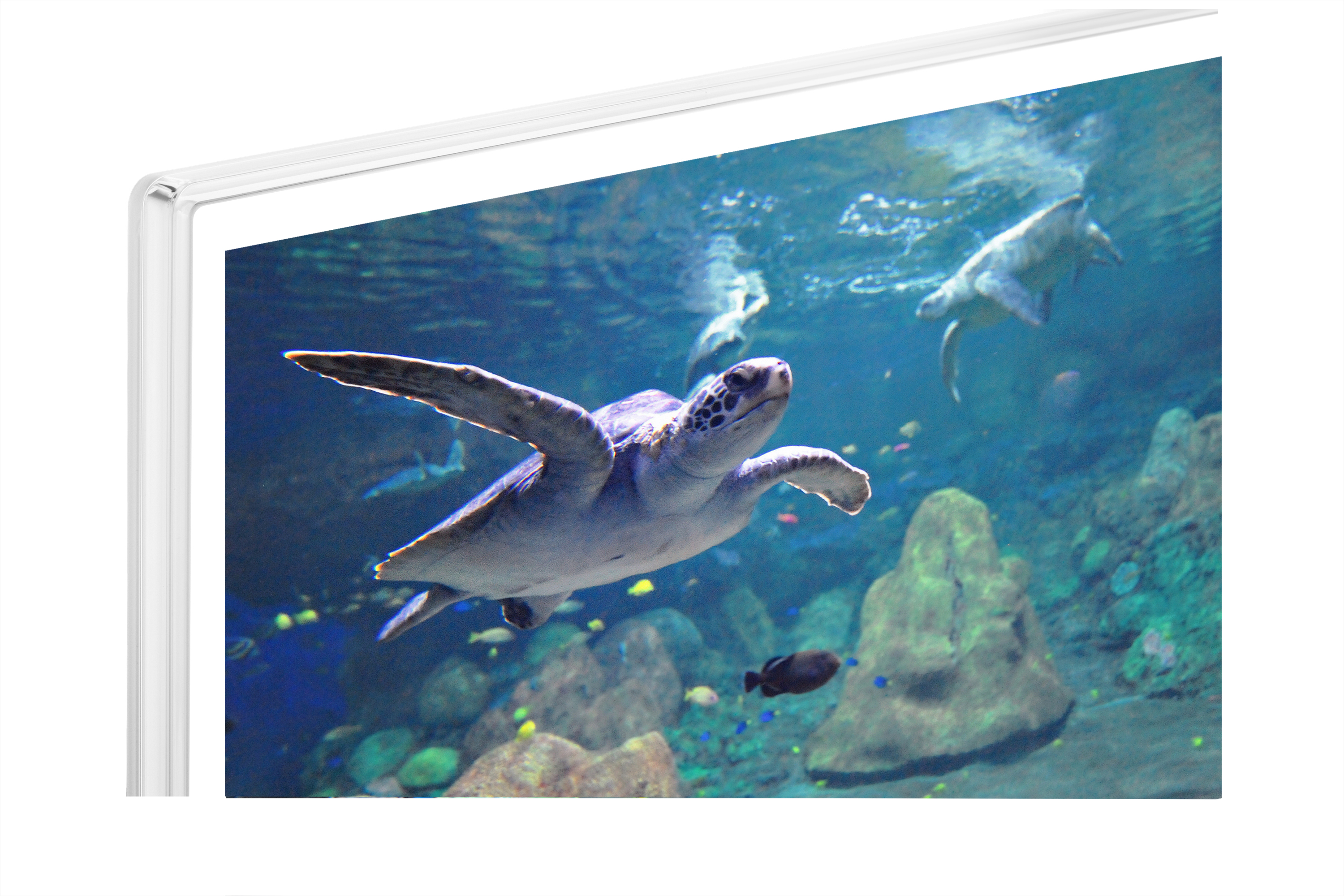 Samsung UE50ES6710S 127 cm (50") Full HD Smart TV Wi-Fi White – image 6