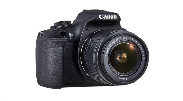 Canon 2000D + EF-S 18-55 IS II + EF 50mm – image 4