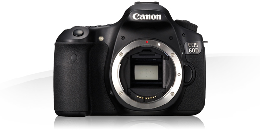 Canon 60D + EF 17 - 55 mm – image 3