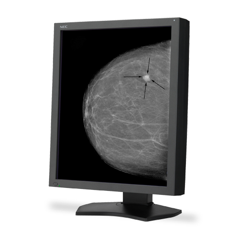 NEC MD215MG computer monitor