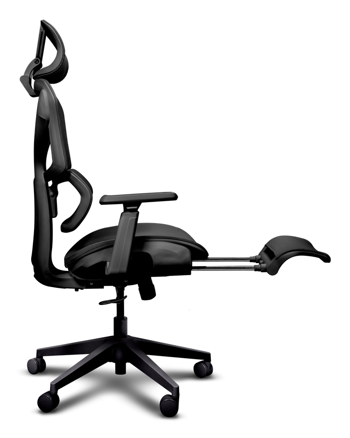 Product Gallery