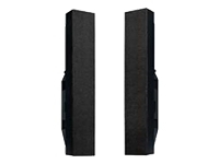 NEC Speakers for NEC LCD4010