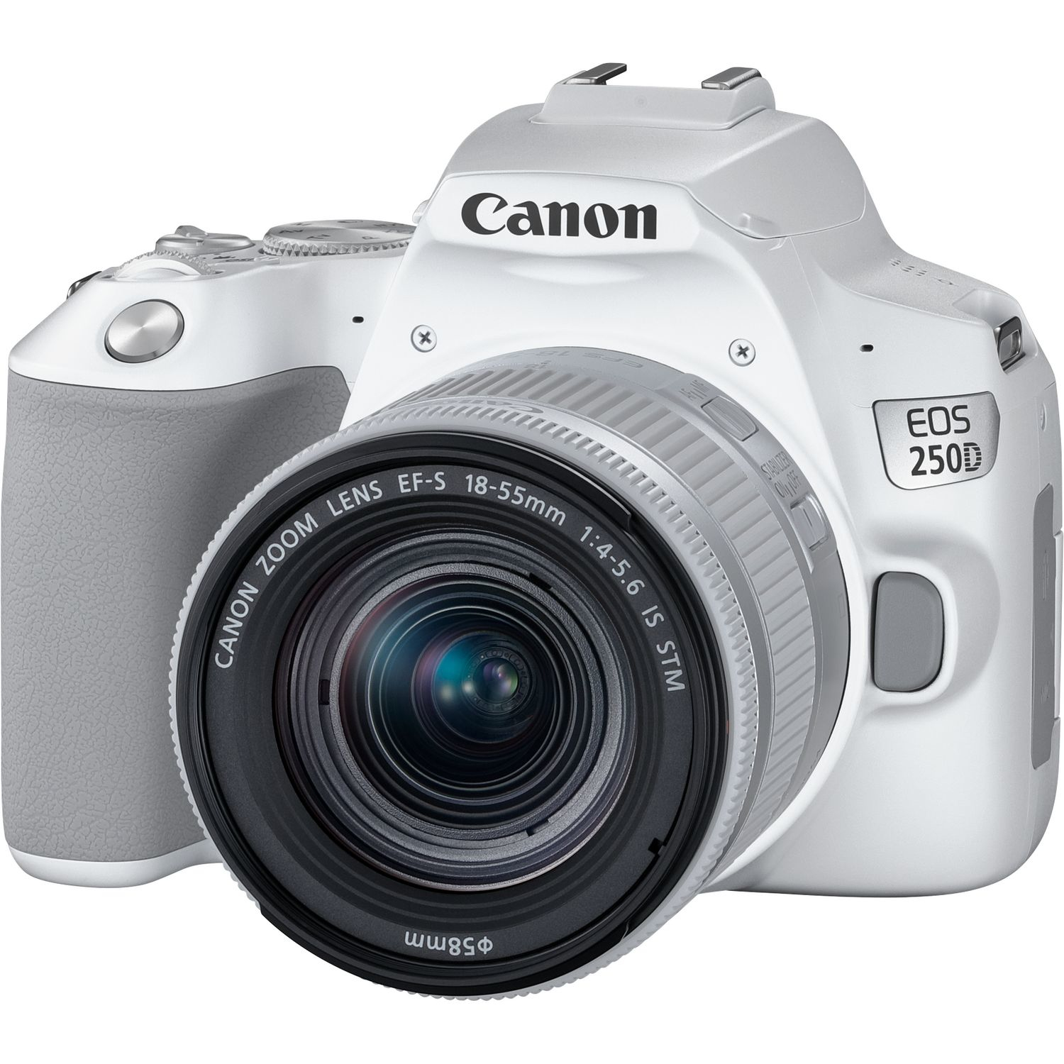 Canon 250D + EF-S 18-55mm f/4-5.6 IS STM – image 3