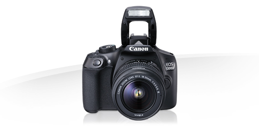 Canon 1300D + 18-135 – image 6