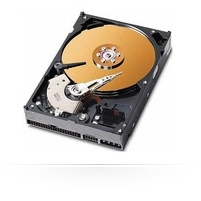 CoreParts 4.3GB 3.5" IDE