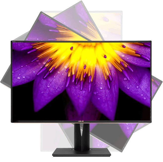 ASUS ProArt PA329C computer monitor – image 6