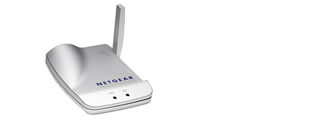NETGEAR WG121GE USB Wless