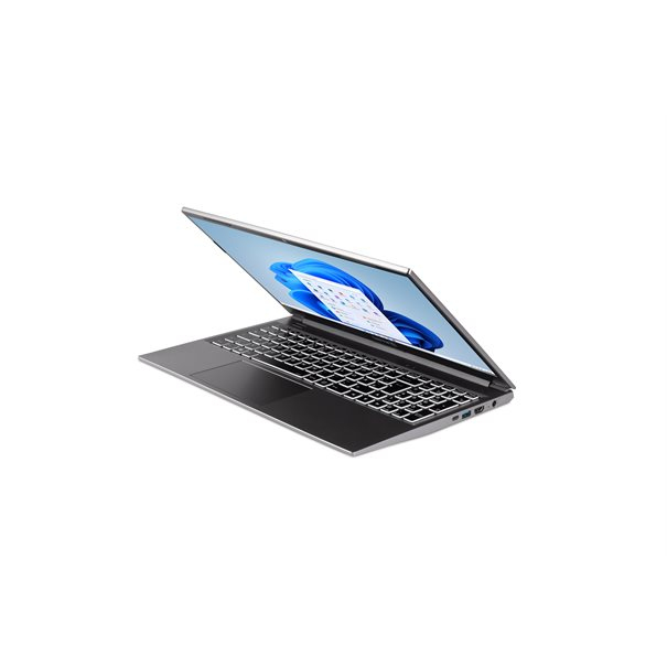 TERRA MOBILE 1517 Intel® Core™ i5 i5-1235U Netbook