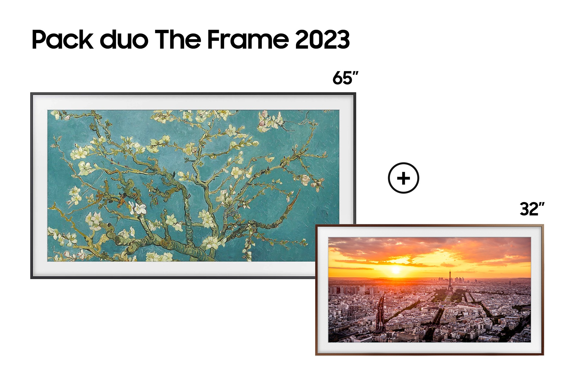Samsung F-TQ65-TQ32-V1 65" — vue 1 sur 3
