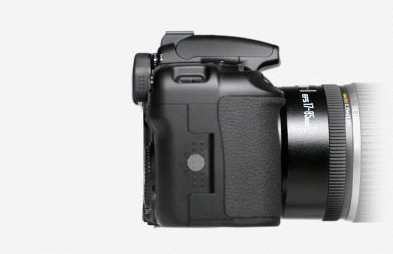 Canon EOS 40D + 17-85 mm + 70-300 IS USM – image 3